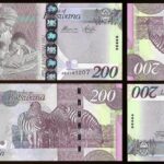 Fake-200-pula-Banknotes