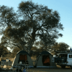 Motopi Campsites: A Bucket-List Safari Experience in Botswana’s Central Kalahari